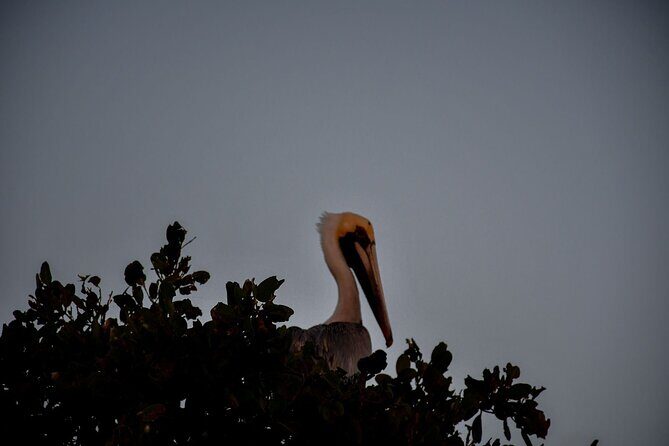 Breathtaking Sunset at Sian Ka'an - Practical Tips