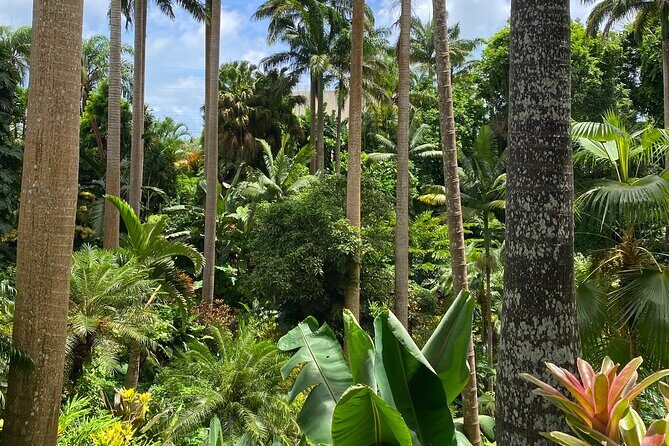 Breathtaking Wonders - Harrisons Cave and Hunte's Gardens - A Closer Look at the Experience