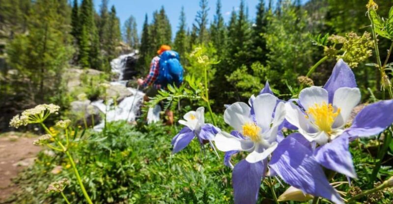 Breckenridge, CO: Half-Day Guided Scenic Hike - Additional Details: What You Should Know
