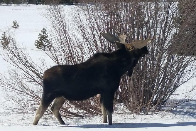 Breckenridge Ultimate Full Day Mountain Tour from Denver - Breckenridge Ultimate Full Day Mountain Tour from Denver: An Authentic Rocky Mountain Experience