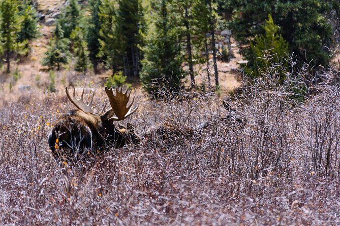 Breckenridge via Hoosier Pass Private Colorado Adventure Tour - Who Should Consider This Tour?