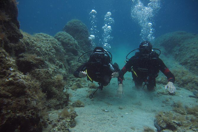 BRELA Bikini Dive *Try SCUBA DIVING* - The Sum Up: Why This Experience Is Worth Considering