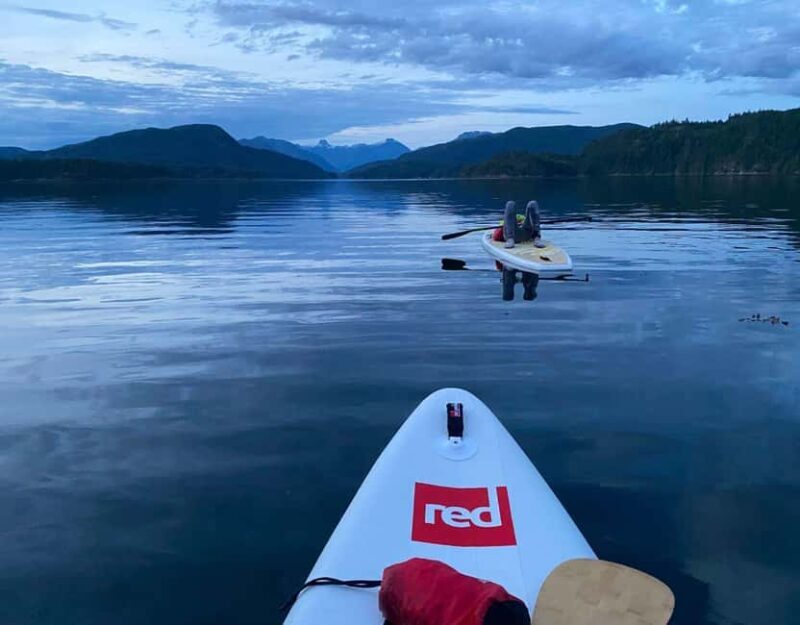 Brentwood Bay: Bioluminescence & Sunset Paddleboard Tour - Why This Tour Offers Great Value