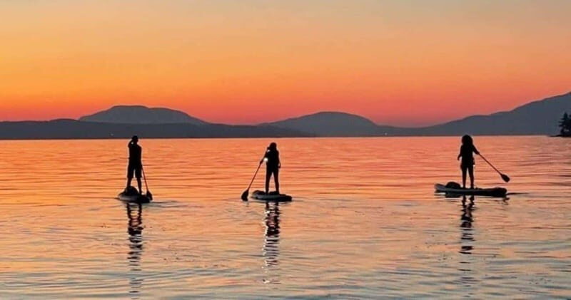 Brentwood Bay: Bioluminescence Tour - An Authentic Night on the Water with a Natural Light Show