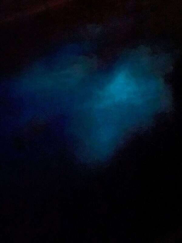 Brentwood Bay: Bioluminescence Tour - Practical Details and Value