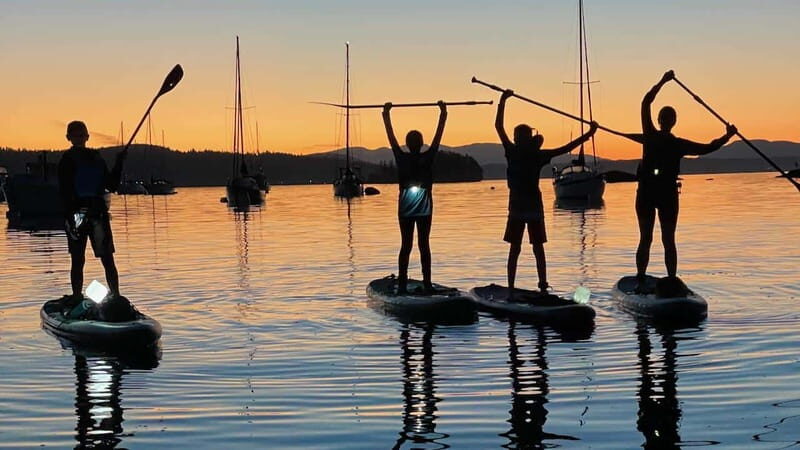 Brentwood Bay: Bioluminescence Tour - Who Should Consider This Tour?