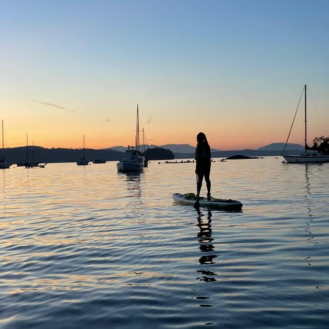 Brentwood Bay: Bioluminescence Tour - The Sum Up