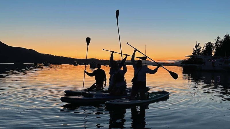 Brentwood Bay: Bioluminescence Tour - FAQ
