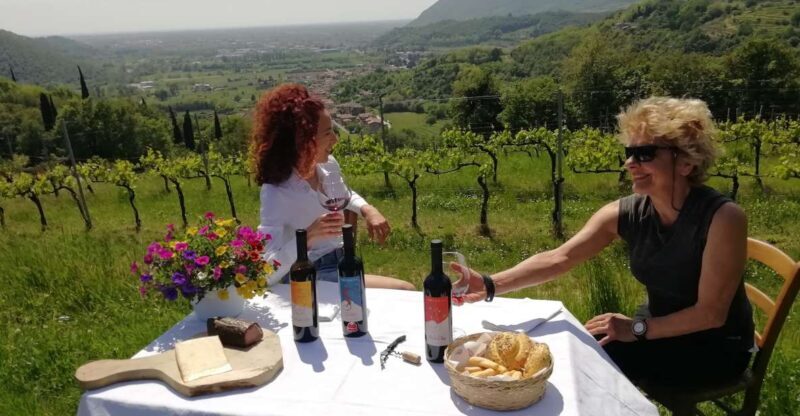 Brescia: day trip to Botticino with wine tasting at Noventa - Detailed Breakdown of the Experience