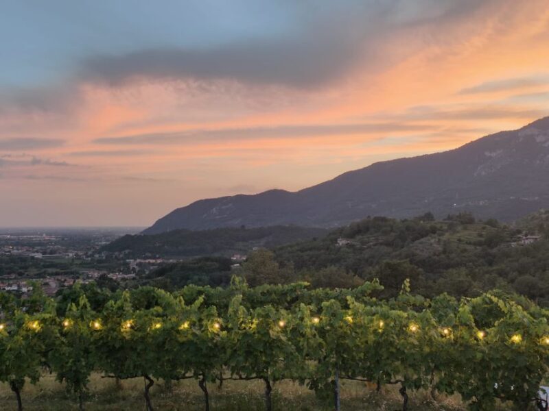 Brescia: day trip to Botticino with wine tasting at Noventa - FAQ