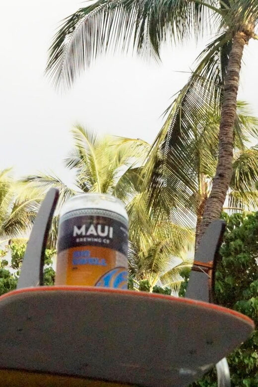 Brewery and Beach cruise in a Vintage VW Bus - A Deeper Look at the Tour: What You Can Expect