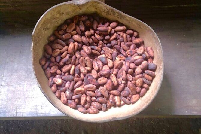 BRIBRI Chocolate tour & Cahuita National park from San Jose - Key Points