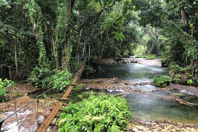 Bridges of Eden with Yumi Tours - Bridges of Eden with Yumi Tours: A Forest Adventure in Vanuatu
