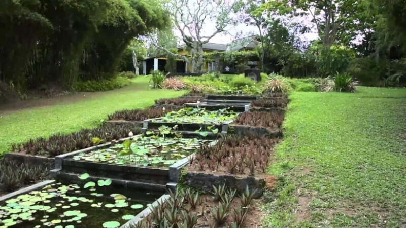 Brief Garden: The Artistic Legacy of Bevis Bawa - FAQ