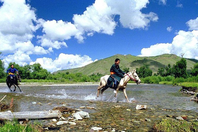 Brief Introduction to Mongol Horse - An In-Depth Look at the Tour