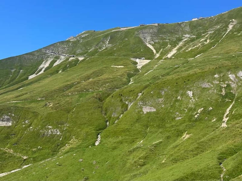 Brienz: Summit the Brienzer Rothorn with a Swiss Triathlete - Who Will Love This?