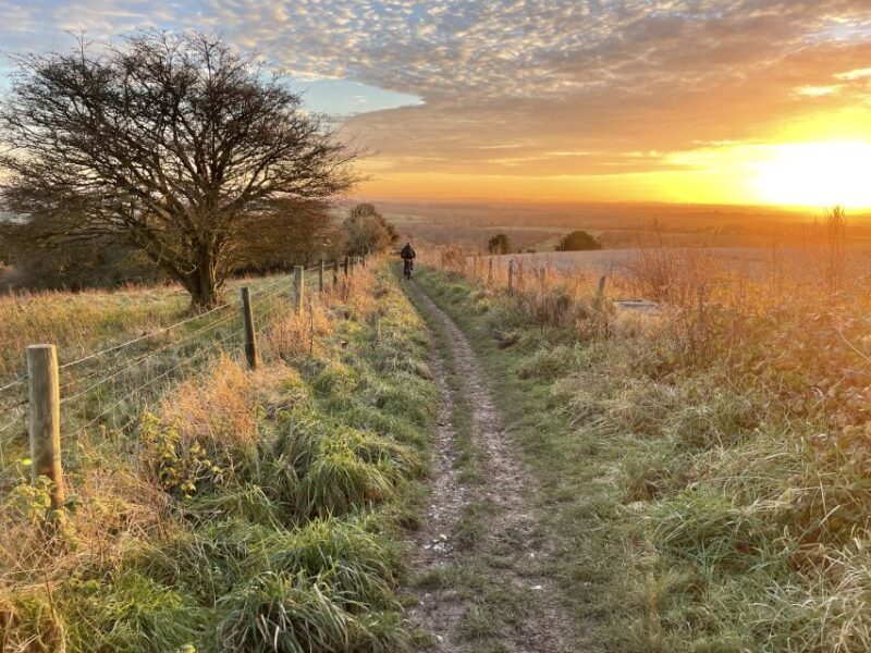 Brighton: Electric Mountain Bike Rental - Who Should Consider This Tour?