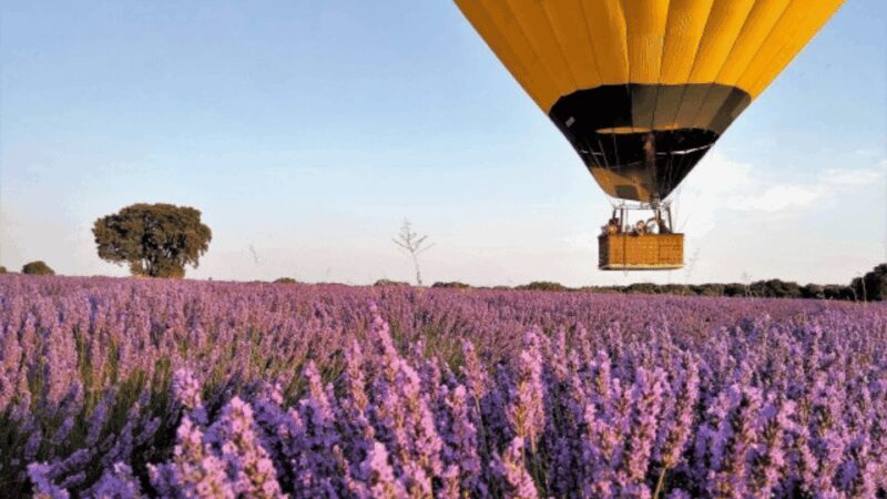 Brihuega: Balloon Flight Above Lavender Fields - Aerial Magic Over Brihuega’s Lavender Fields