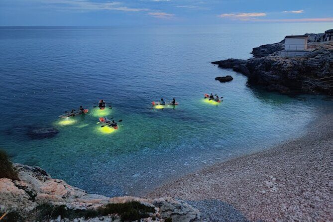 Brijuni Dolphin and Sunset Boat Tour from Pula - Who Will Love This Experience?