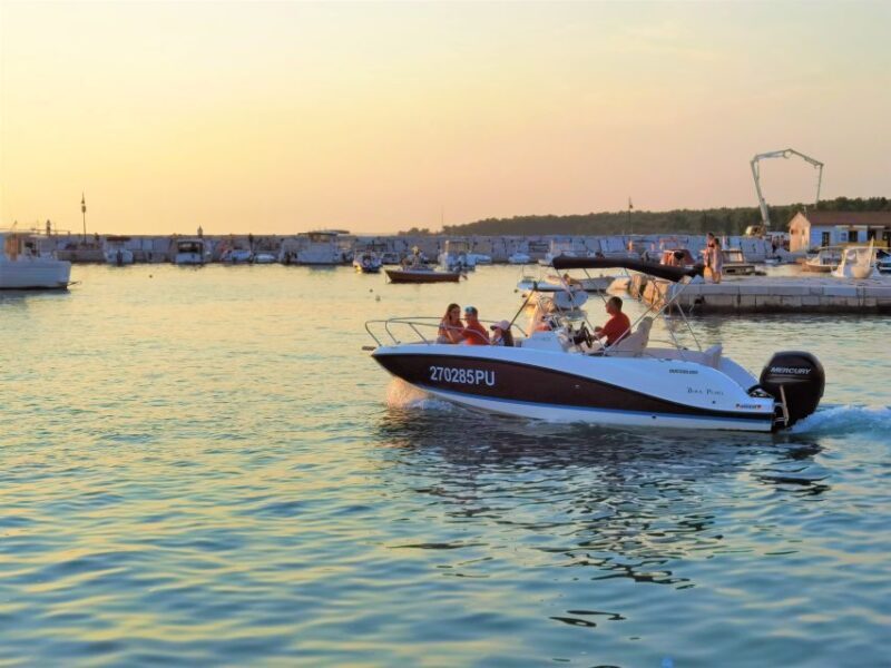 Brijuni Islands: Sunset & Dolphins private boat tour - An In-Depth Look at the Brijuni Islands Sunset & Dolphins Tour