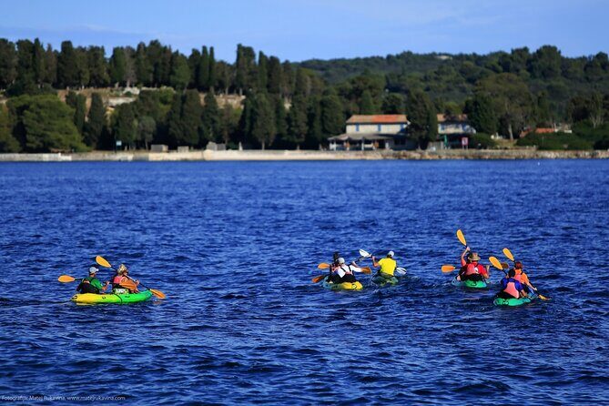 Brijuni Kayak tour with Full-Day Brijuni ticket included - Key Points