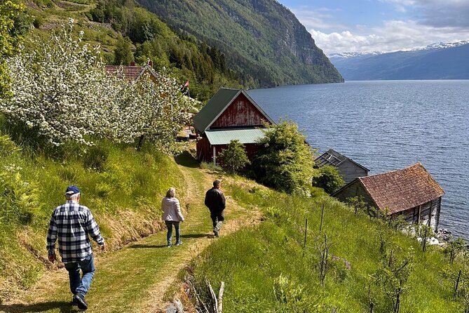 Briksdal Glacier and Loen Skylift day Excursion - Who Will Love This Tour?