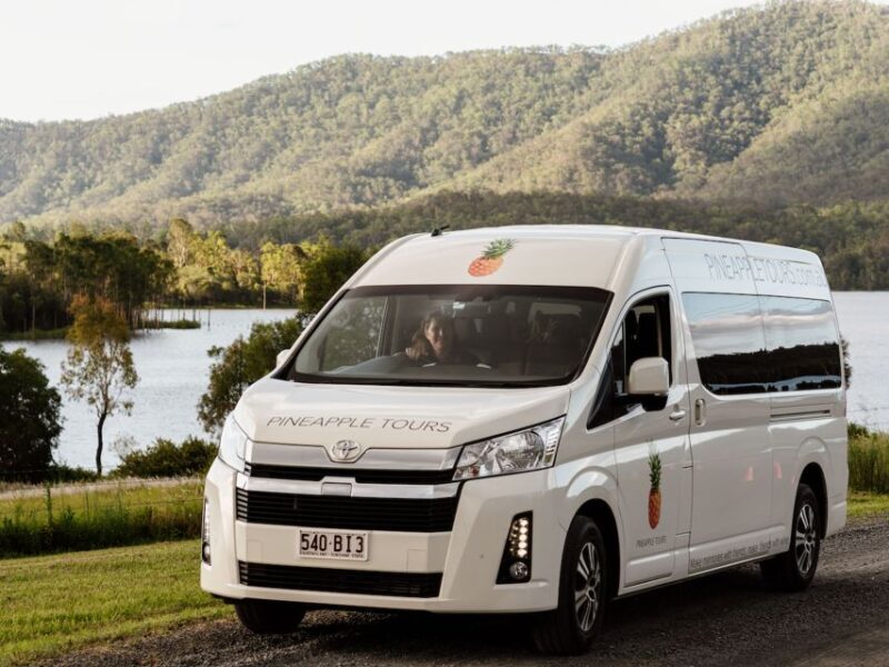 Brisbane: Daytime Glow Worm Caves Hop-on Hop-off Bus Tour - FAQ