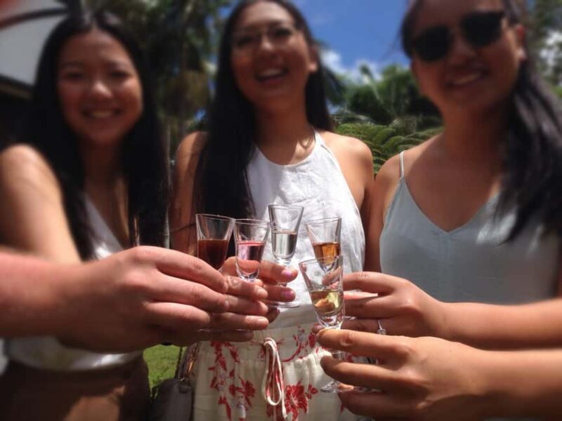 Brisbane Departure : Explore Tamborine Mountain Day Tour - Practical Tips to Maximize Your Experience