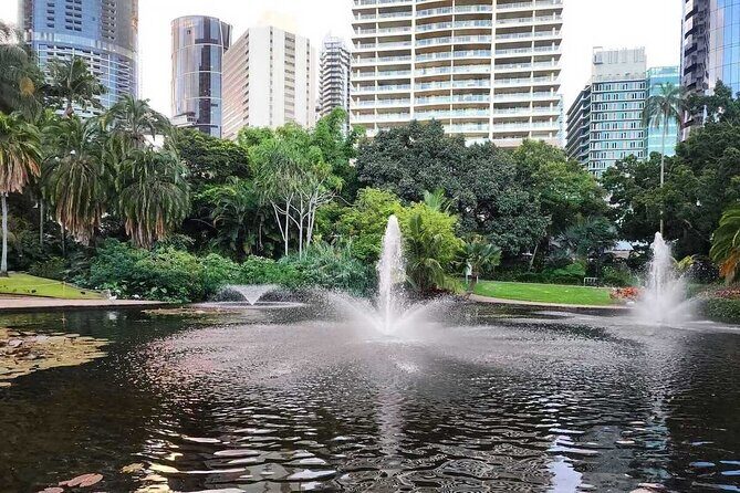 Brisbane Drive by Day - Private Tour - Who Should Consider This Tour?