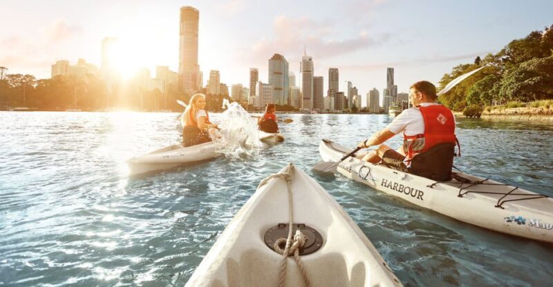 Brisbane: Guided River Kayak Tour - Who Should Consider This Tour?