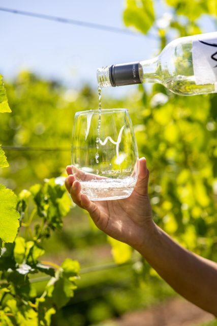 Brisbane: Luxury Winery Tour with Gourmet Lunch & Distillery - The Sum Up