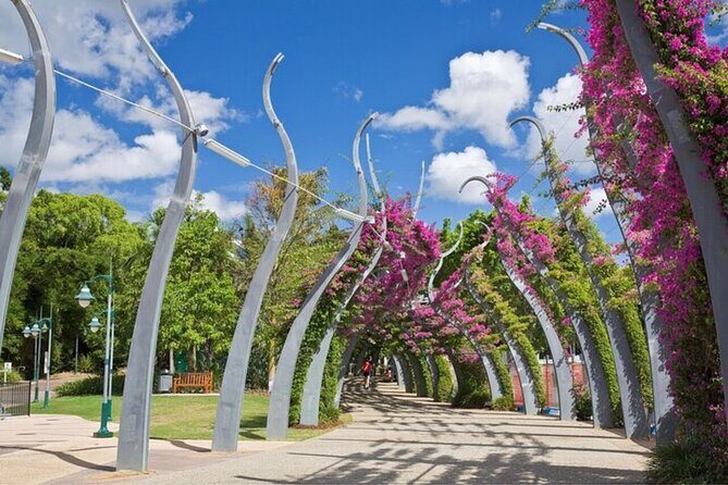 Brisbane Must-See Attractions Walking Tour with a guide - Experience Brisbane’s Charm on a 3-Hour Guided Walking Tour