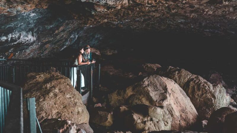 Brisbane: Rainforests, Waterfalls and Glow Worm Cave Tour - Starting from Brisbane: Setting Out with Comfort
