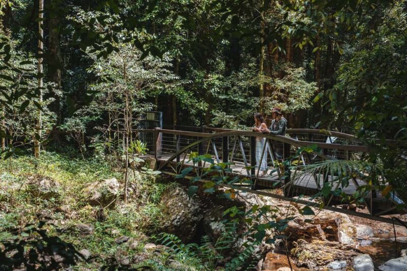 Brisbane: Rainforests, Waterfalls and Glow Worm Cave Tour - Cedar Creek Estate & the Glow Worm Caves
