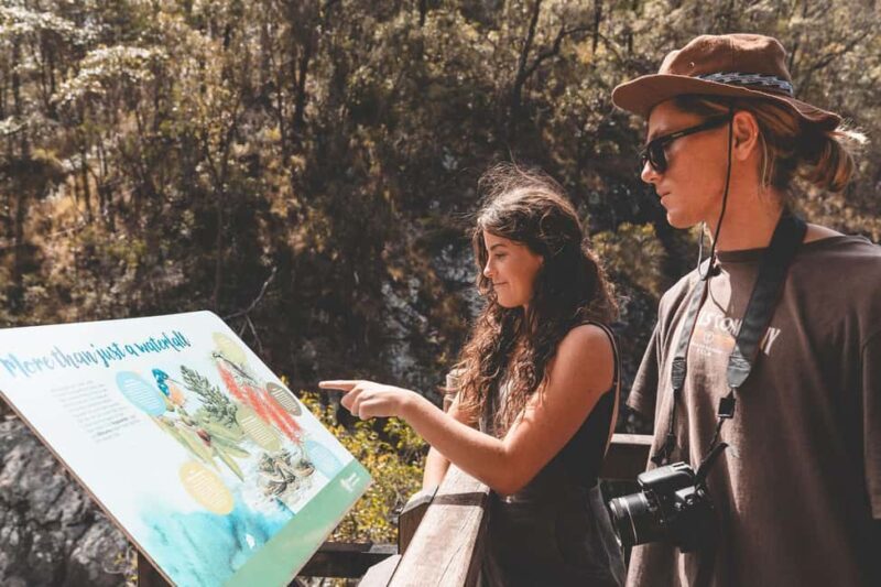 Brisbane: Rainforests, Waterfalls and Glow Worm Cave Tour - Art, Culture, and Local Flavors at Gallery Walk