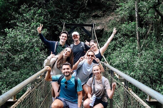 Brisbane: Springbrook 7 Waterfalls and Natural Bridge Day Tour - Key Points