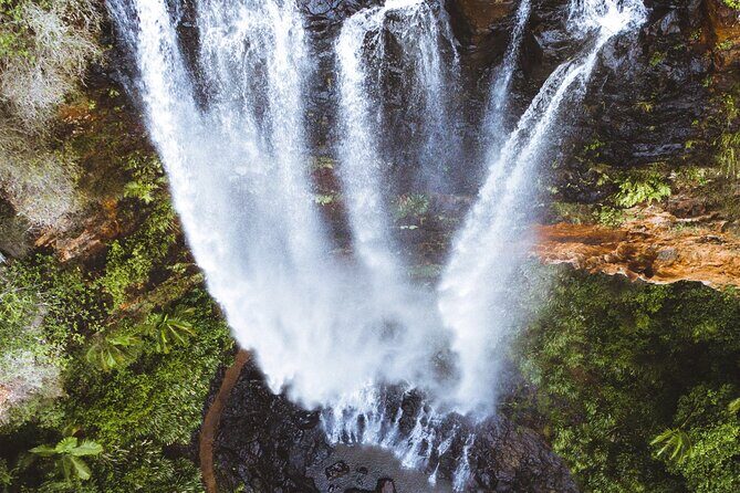 Brisbane: Springbrook 7 Waterfalls and Natural Bridge Day Tour - A Complete Dive into the Springbrook Waterfalls and Lookouts Tour