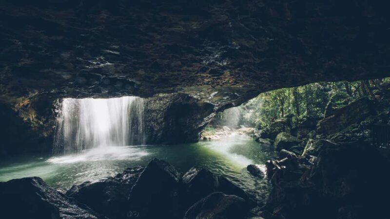 Brisbane: Springbrook 7 Waterfalls and Natural Bridge Tour - Exploring Springbrook: What You’ll Experience