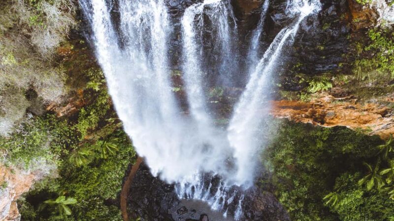 Brisbane: Springbrook 7 Waterfalls and Natural Bridge Tour - Practical Considerations
