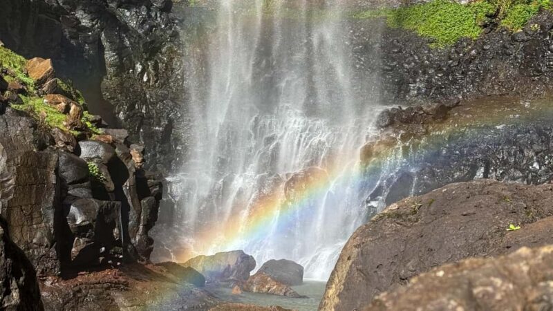 Brisbane: Springbrook 7 Waterfalls and Natural Bridge Tour - Final thoughts