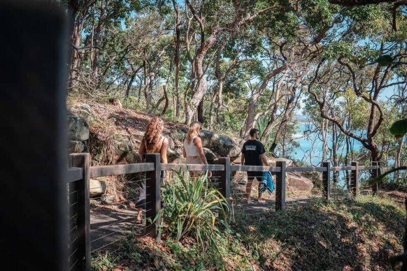 Brisbane: Sunshine Coast Hinterland & Noosa Small Group Tour - Key Points