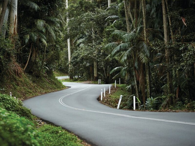 Brisbane: Tamborine Mountain Local Winery Tour with Lunch - Who Will Love This Tour?