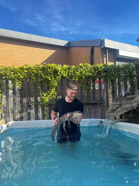 Bristol: Crocodile Swimming Experience coffee and cake - A Deep Dive into the Crocodile Swimming Experience