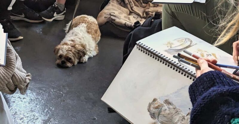 Bristol: Dog Life Drawing led by local Artist Cai Burton - Bristol: Dog Life Drawing led by local Artist Cai Burton