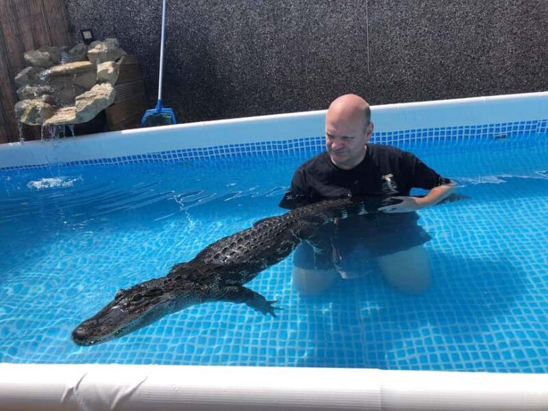Bristol: Swimming with Crocodiles coffee and cake - Setting the Scene: Bristol’s Reptile Encounter