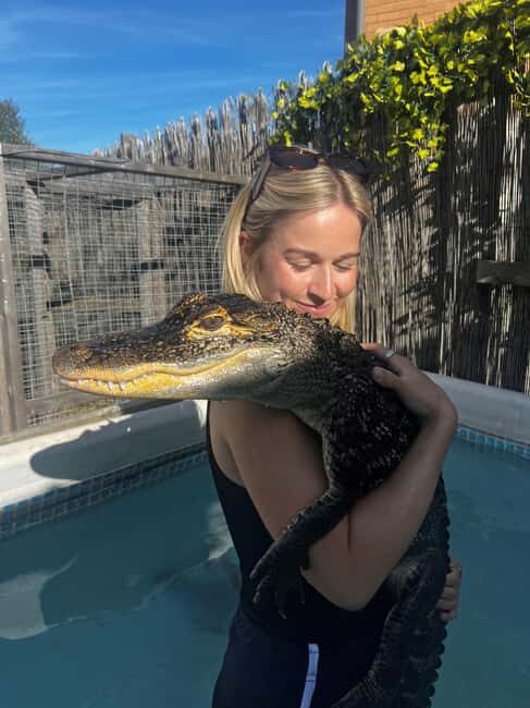 Bristol: Swimming with Crocodiles coffee and cake - The Thrill of Swimming in Season