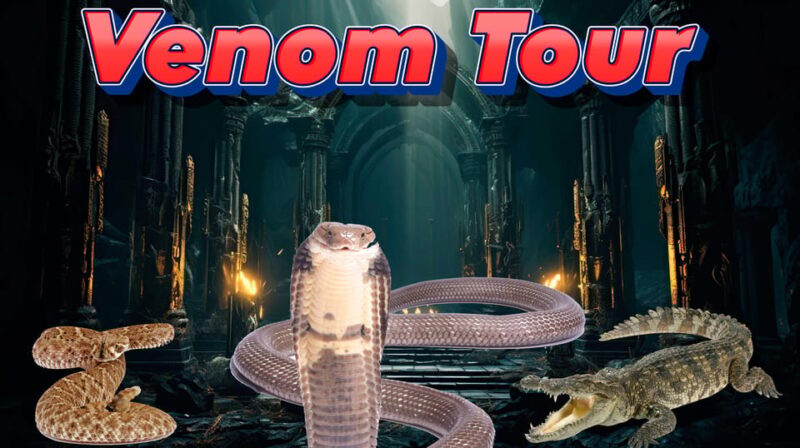 Bristol: Venomous Snake Tour w/ Guide & Croc Photo - Frequently Asked Questions (FAQs)