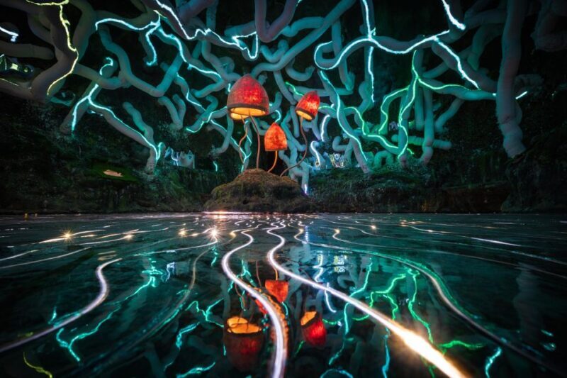 Bristol: Wake The Tiger Amazement Park Entry Ticket - Key Points