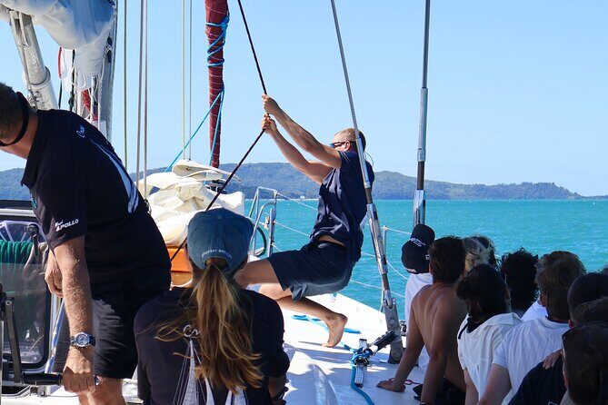 British Defender 3D2N Whitsunday Snorkelling Sailing Adventure - An In-Depth Look at the British Defender 3D2N Whitsundays Tour