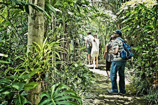 Britt Coffee Tour from San José - Who Will Appreciate This Tour?